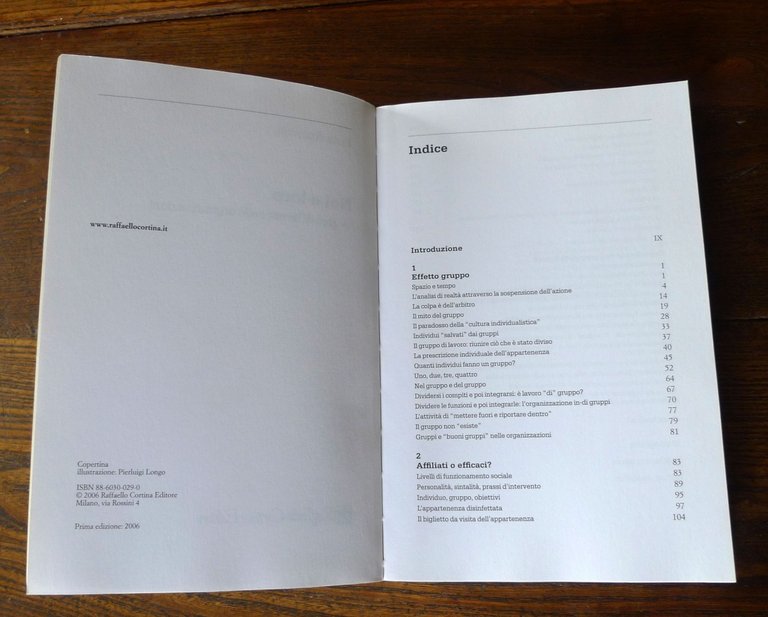 Amovilli,NOI E LORO.GRUPPI DI LAVORO NELLE ORGANIZZAZIONI,2006[psicologia