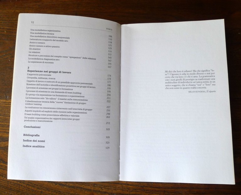 Amovilli,NOI E LORO.GRUPPI DI LAVORO NELLE ORGANIZZAZIONI,2006[psicologia