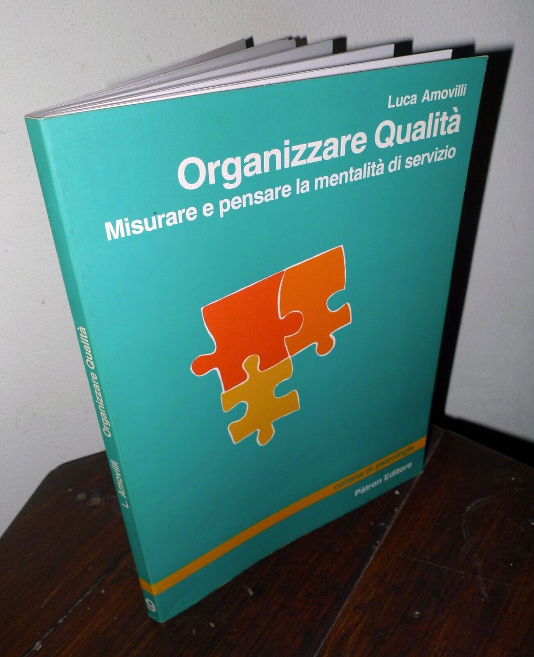 Amovilli,ORGANIZZARE QUALITÀ.Misurare e pensare la mentalità di servizio,1995