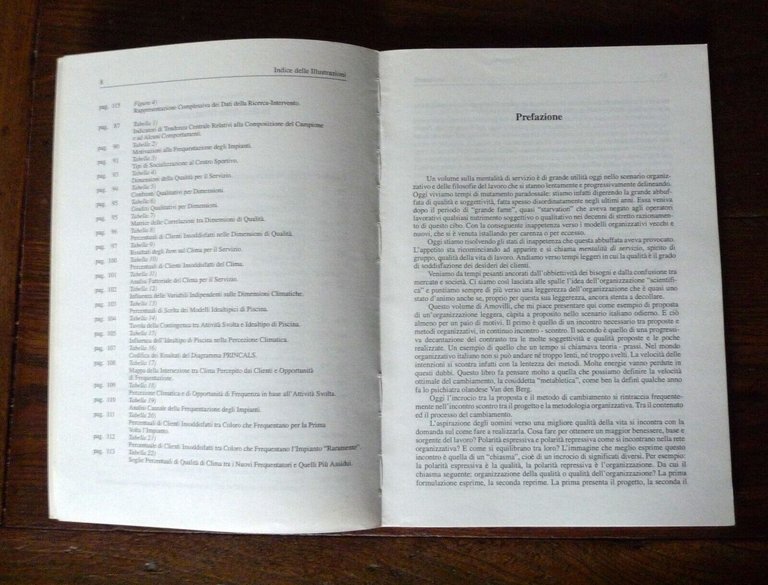Amovilli,ORGANIZZARE QUALITÀ.Misurare e pensare la mentalità di servizio,1995