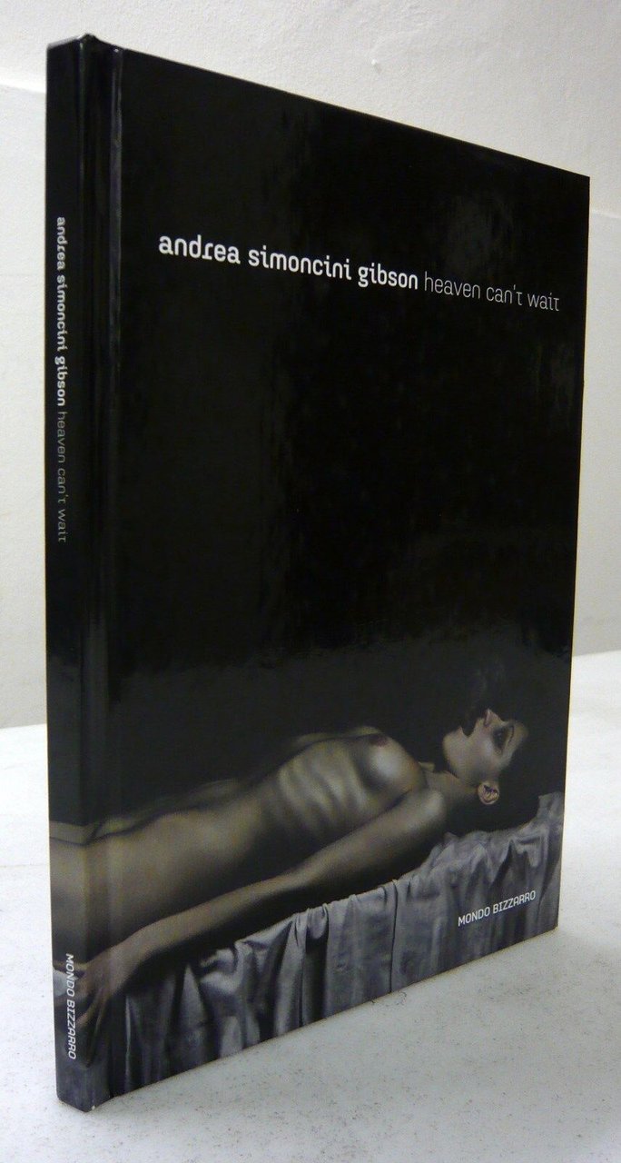 Andrea Simoncini Gibson,HEAVEN CAN’T WAIT,2011 Mondo Bizzarro[fotografia,pittura