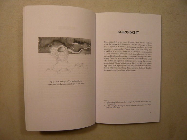 Aracagok,NON-CONCEPTUAL NEGATIVITY DAMAGED REFLECTIONS ON TURKEY,2019