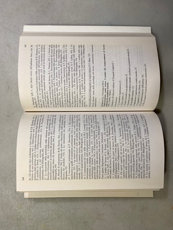 Avallone,IL LAVORO NELLE ORGANIZZAZIONI,Guerini 2001[psicologia