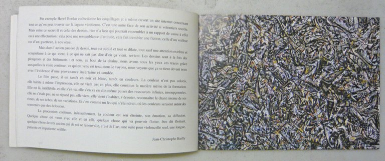 Bailly,HERVÉ BORDAS.Forêts-Cortèges.Peintures 1996-2003[catalogo arte contempora