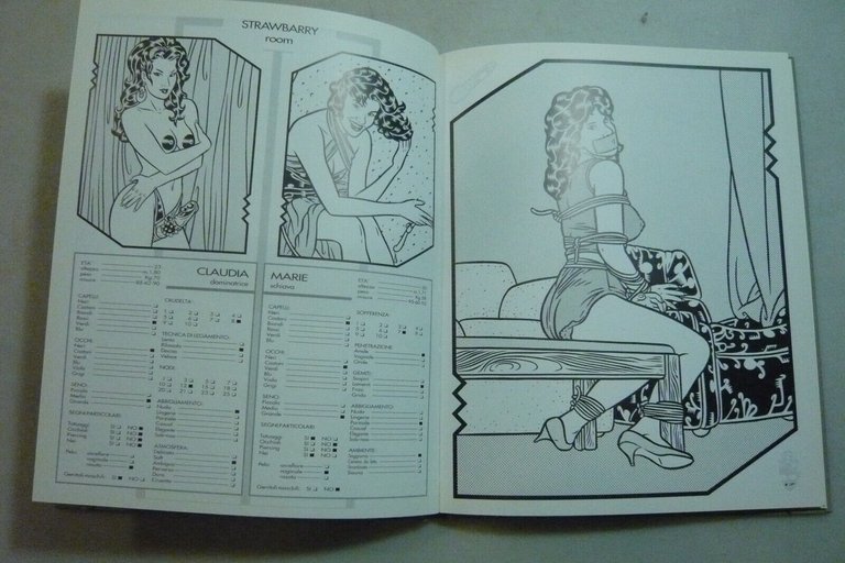 Baldazzini,FIXTOWN HARD FEMALE BONDAGE CLUB, 1993[illustrazione