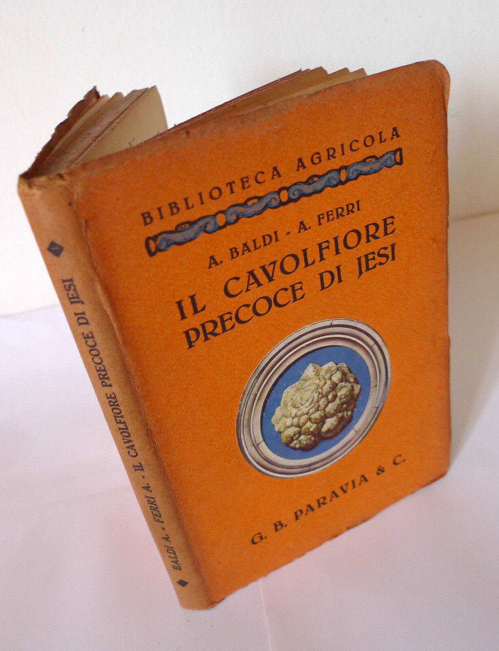 Baldi/Ferri,IL CAVOLFIORE PRECOCE DI JESI,1931 Paravia[manuale,agricoltura