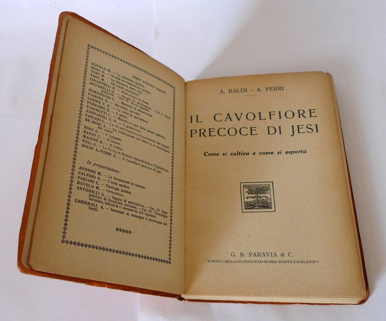 Baldi/Ferri,IL CAVOLFIORE PRECOCE DI JESI,1931 Paravia[manuale,agricoltura