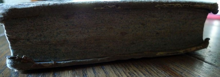 BARTOLI,L'UOMO DI LETTERE/GRASSI,SAGGIO INTORNO AI SINONIMI,1853 Antonelli