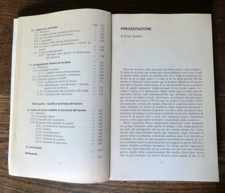 Berra/Prestipino,LA SICUREZZA DEL LAVORO,1996[Spaltro,PSICOLOGIA ORGANIZZAZIONI | Immagine Gallery 6