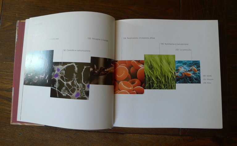 Beverly McMillan,CORPO UMANO,2007 Touring Club[scienze,fotografia,illustrazione