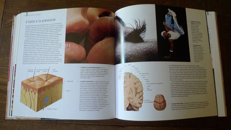 Beverly McMillan,CORPO UMANO,2007 Touring Club[scienze,fotografia,illustrazione