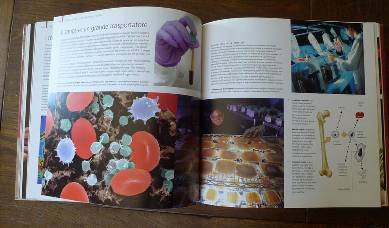 Beverly McMillan,CORPO UMANO,2007 Touring Club[scienze,fotografia,illustrazione