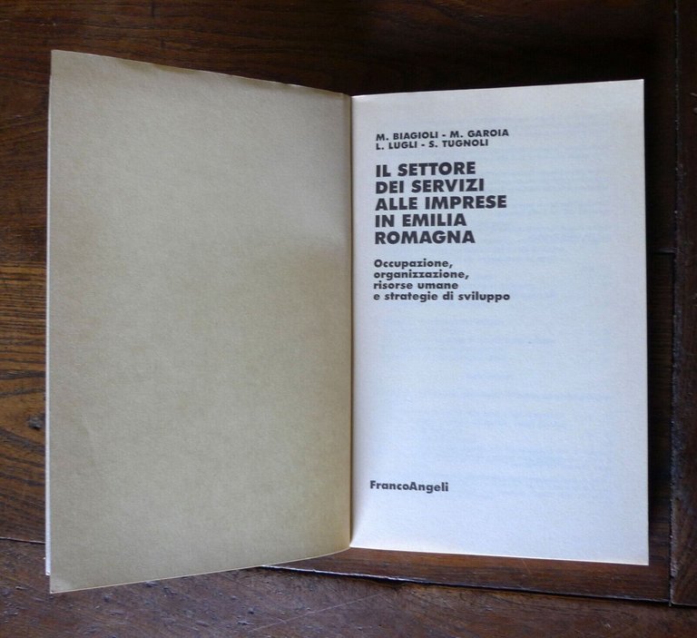 Biagioli,IL SETTORE DEI SERVIZI ALLE IMPRESE IN EMILIA ROMAGNA,1993 FrancoAngeli