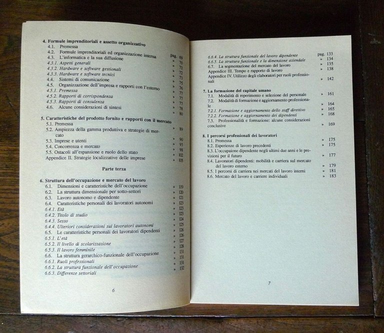 Biagioli,IL SETTORE DEI SERVIZI ALLE IMPRESE IN EMILIA ROMAGNA,1993 FrancoAngeli