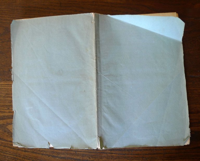 Bianconi,CENNI STORICI SUGLI STUDI PALEONTOLOGICI E GEOLOGICI IN BOLOGNA,1862 | Immagine Gallery 2