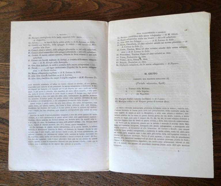 Bianconi,CENNI STORICI SUGLI STUDI PALEONTOLOGICI E GEOLOGICI IN BOLOGNA,1862 | Immagine Gallery 4