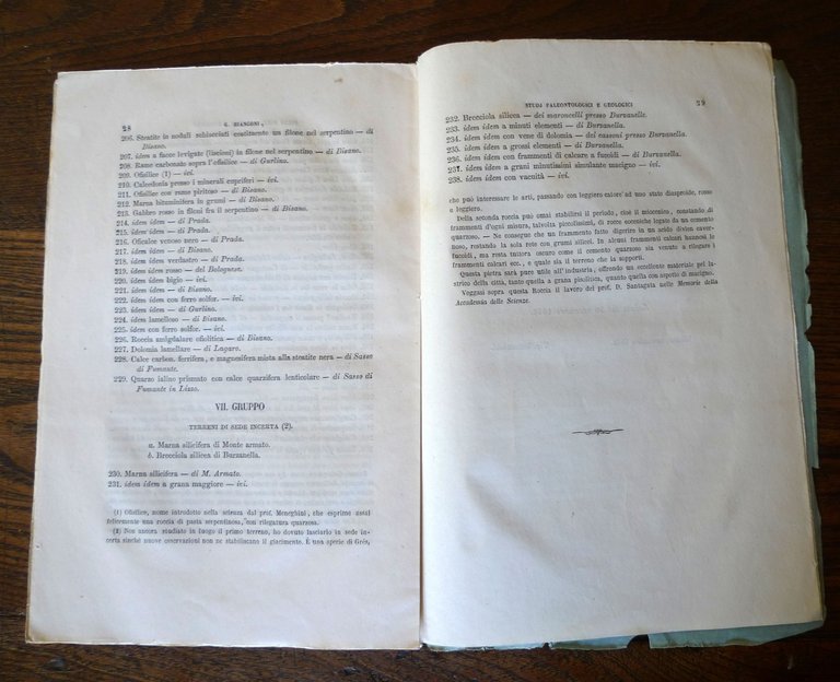 Bianconi,CENNI STORICI SUGLI STUDI PALEONTOLOGICI E GEOLOGICI IN BOLOGNA,1862 | Immagine Gallery 5