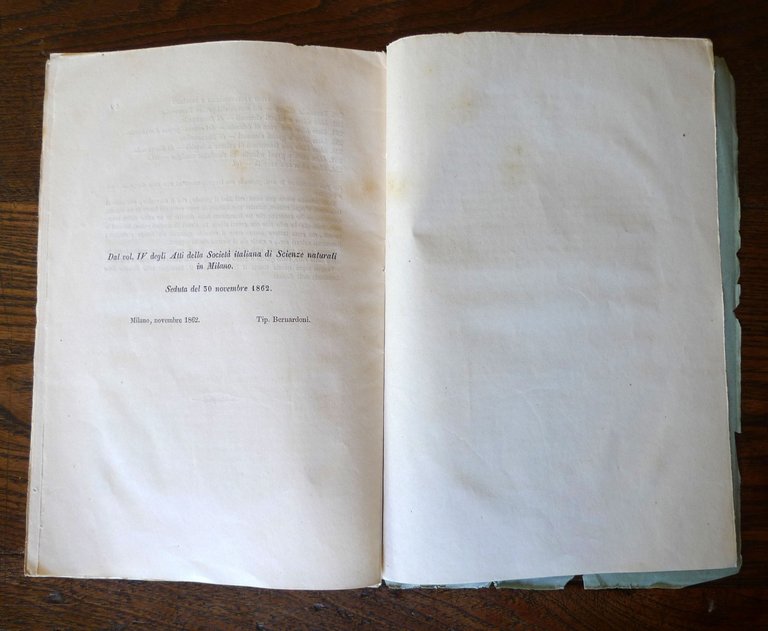 Bianconi,CENNI STORICI SUGLI STUDI PALEONTOLOGICI E GEOLOGICI IN BOLOGNA,1862 | Immagine Gallery 6