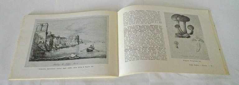 BIBLIOTECA STORICA MERIDIONALE,1976 Regina[storia,biliografia,libri antichi