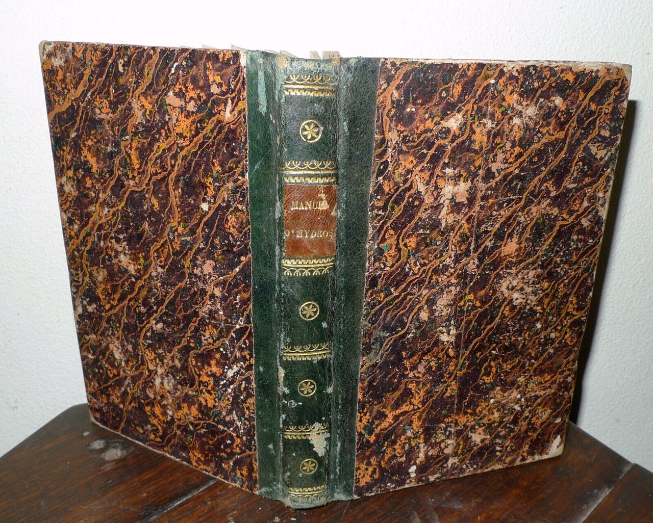 BIGEL,MANUEL D'HYDROSUDOTHERAPIE,1841 Hauman[medicina,idroterapia,Priessnitz