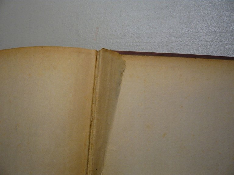 Bignone,INTRODUZIONE ALLA FILOLOGIA CLASSICA,Marzorati 1951