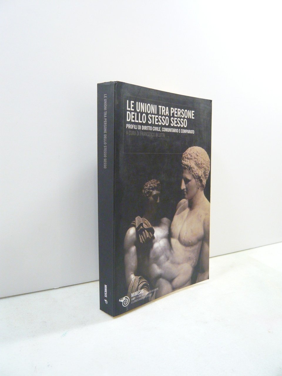Bilotta LE UNIONI TRA PERSONE DELLO STESSO SESSO,Mimesis 2008