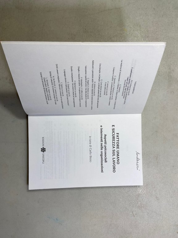 Bisio,FATTORE UMANO E SICUREZZA SUL LAVORO,Unicopli 2003