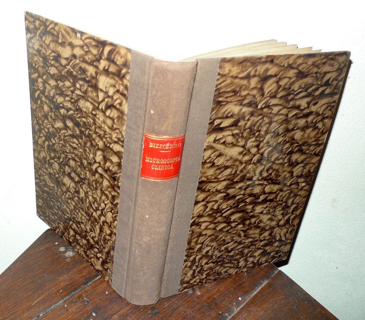 Bizzozero,MANUALE DI MICROSCOPIA CLINICA,1901 Vallardi[storia medicina