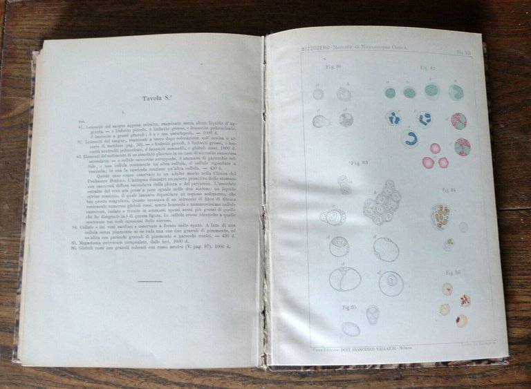 Bizzozero,MANUALE DI MICROSCOPIA CLINICA,1901 Vallardi[storia medicina