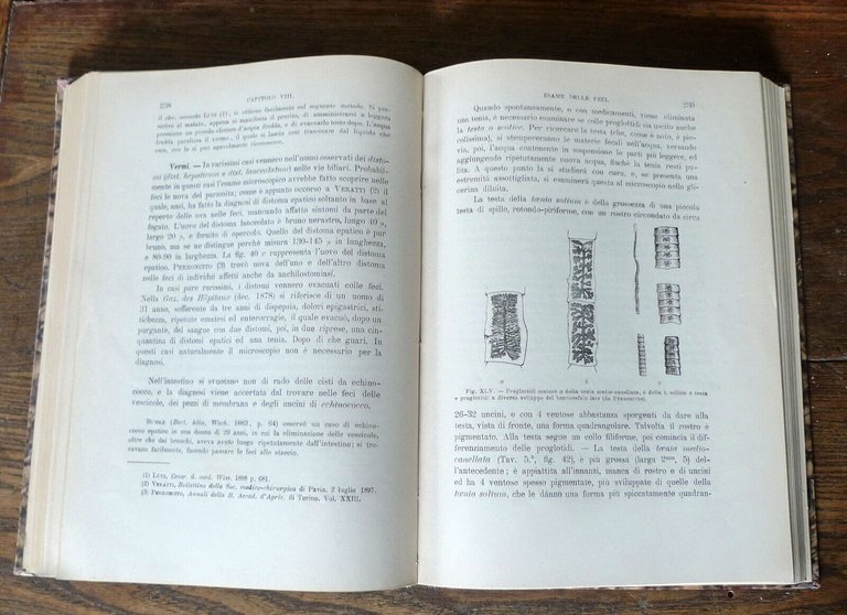 Bizzozero,MANUALE DI MICROSCOPIA CLINICA,1901 Vallardi[storia medicina