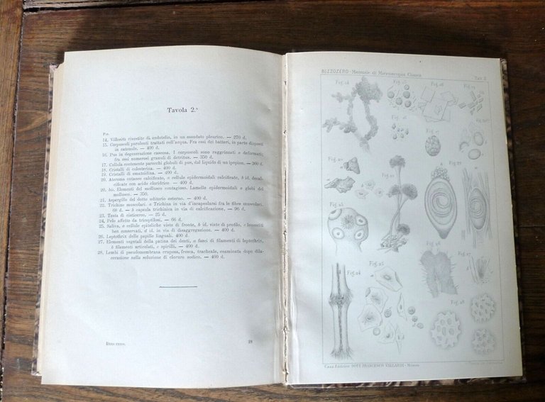 Bizzozero,MANUALE DI MICROSCOPIA CLINICA,1901 Vallardi[storia medicina