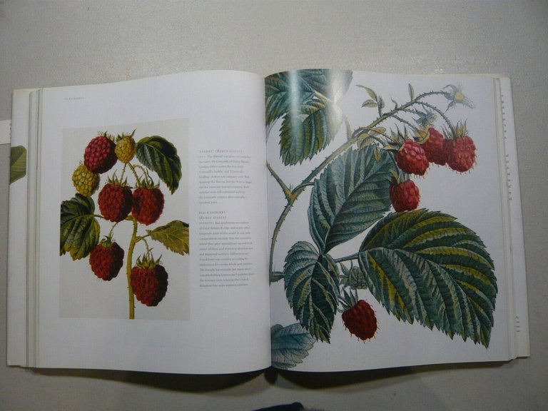 Blackburne-Maze,FRUIT.an illustrated history, 2002 Londra