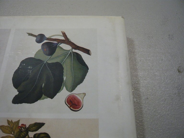 Blackburne-Maze,FRUIT.an illustrated history, 2002 Londra