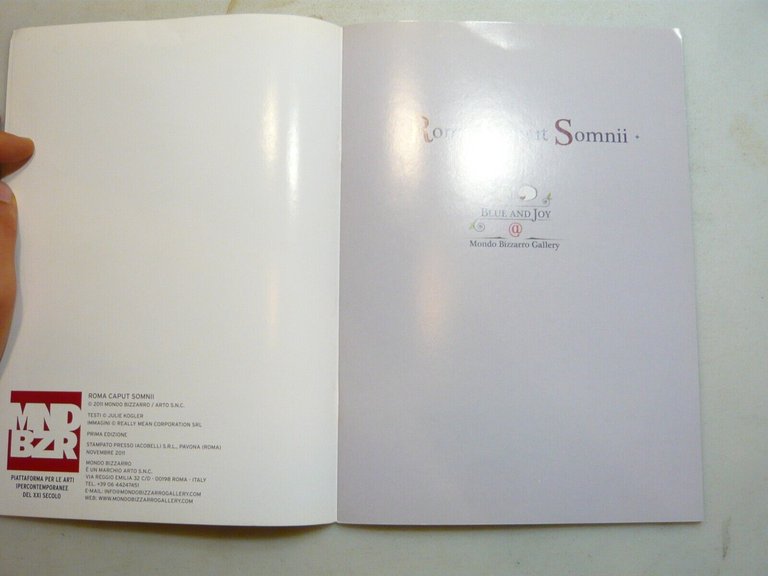 Blue and Joy,ROMA CAPUT SOMNII,Mondo Bizzarro Gallery, Roma, 2011[Cat. mostra