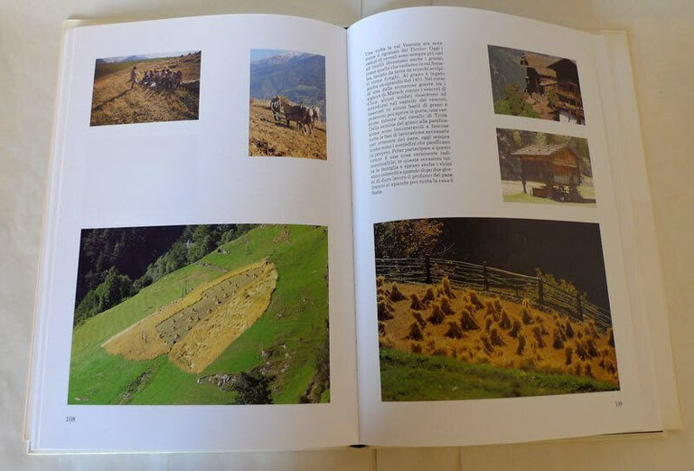 Bodini,UOMINI NELLE ALPI.Appunti sull'Alimentazione,1991 Arunda[montagna,storia