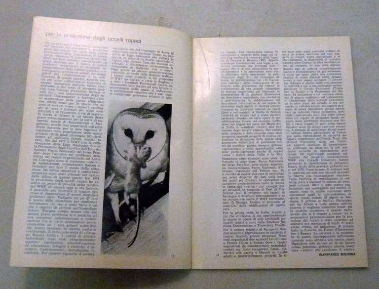 Bollettino WWF WORLD WILDLIFE FUND,1974/1975[natura,ambiente