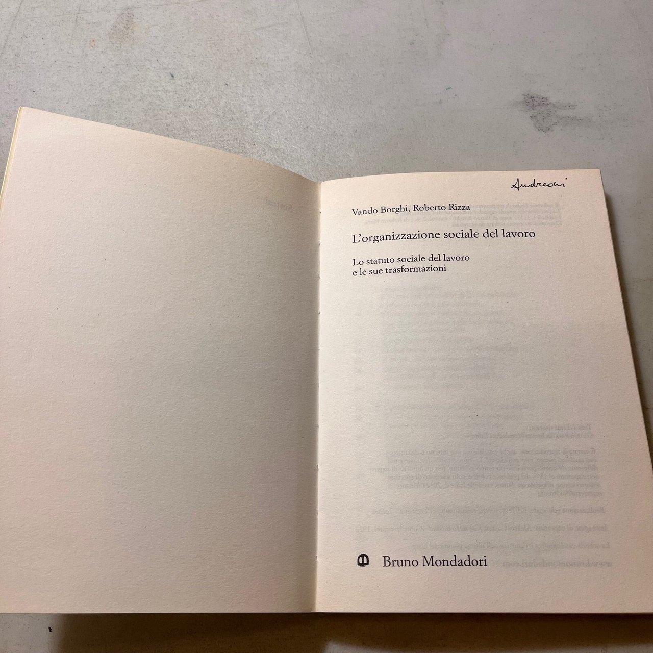 Borghi,Rizza,L’ ORGANIZZAZIONE SOCIALE DEL LAVORO,Bruno Mondadori 2006