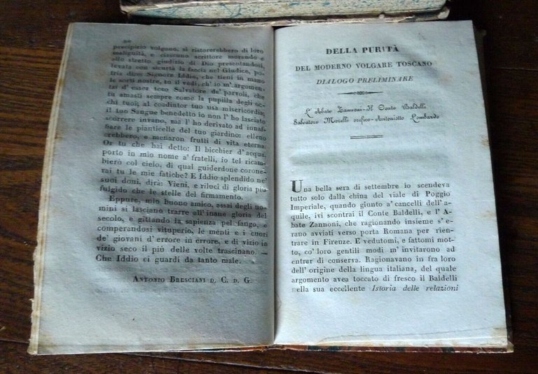 Bresciani,SAGGIO DI ALCUNE VOCI TOSCANE DI ARTI,MESTIERI,1841 Fiaccadori[lingua