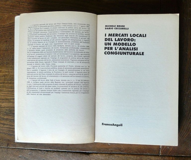 Bruni,I MERCATI LOCALI DEL LAVORO:UN MODELLO PER L'ANALISI CONGIUNTURALE,1995
