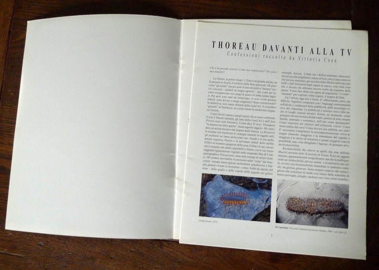 BRUNO BENUZZI,catalogo Fiera ATTUALISSIMA,1992[arte contemporanea | Immagine Gallery 3