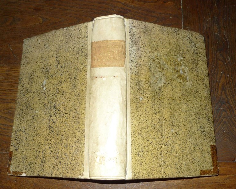 Calepino,AMBROSII CALEPINI VOCABOLARIUS THESAURUS,1522 PAGANINI[vocabolario