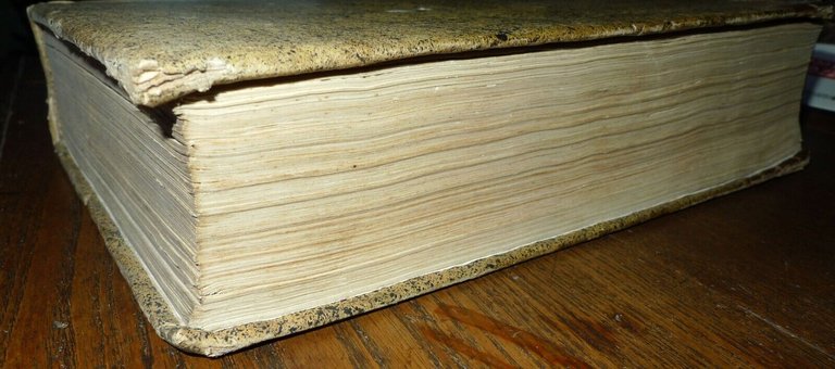 Calepino,AMBROSII CALEPINI VOCABOLARIUS THESAURUS,1522 PAGANINI[vocabolario