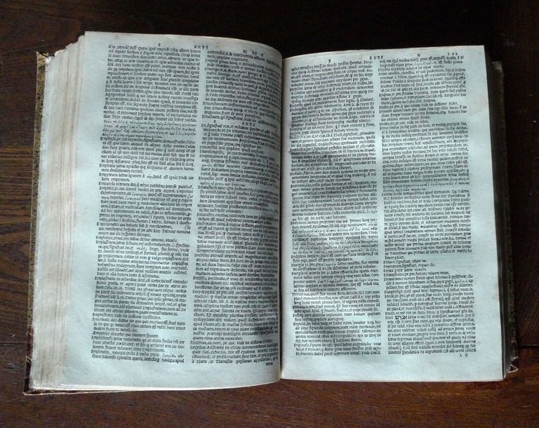 Calepino,AMBROSII CALEPINI VOCABOLARIUS THESAURUS,1522 PAGANINI[vocabolario