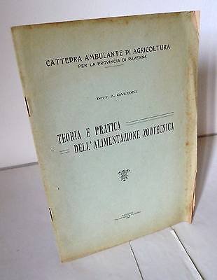 Calzoni,TEORIA E PRATICA DELL'ALIMENTAZIONE ZOOTECNICA,1928 Ravenna[agricoltura