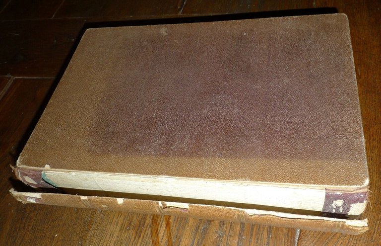 CANTI E PROSE DI GIUSEPPE REGALDI VOL.II,1864[POESIA,STORIA LOCALE,SUSA,TORINO