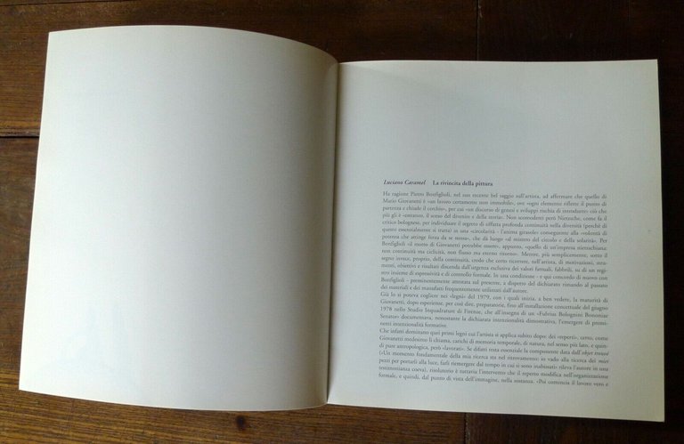 Caramel,Mario GIOVANETTI.La rivincita della pittura,'93[arte contemporanea,legno