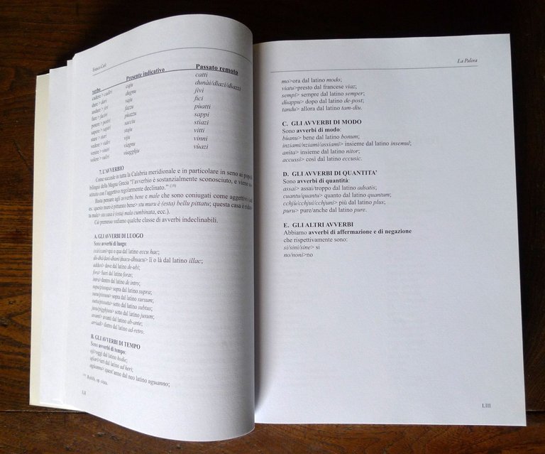 Carè,LA PALORA.CENNI DI GRAMMATICA,FONETICA.PARLATA FABRIZIA,2017[VIBO,CALABRIA