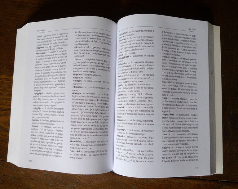 Carè,LA PALORA.CENNI DI GRAMMATICA,FONETICA.PARLATA FABRIZIA,2017[VIBO,CALABRIA