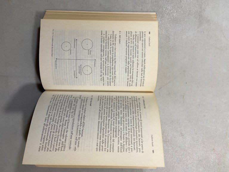 Carli,Paniccia, PSICOLOGIA DELLA FORMAZIONE, il Mulino 1999