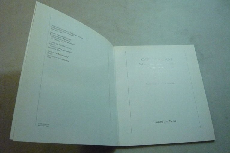 Carlo Gajani,SELBSTBILDNIS IN DER AKADEMIE.Autoritratto in Accademia,1993